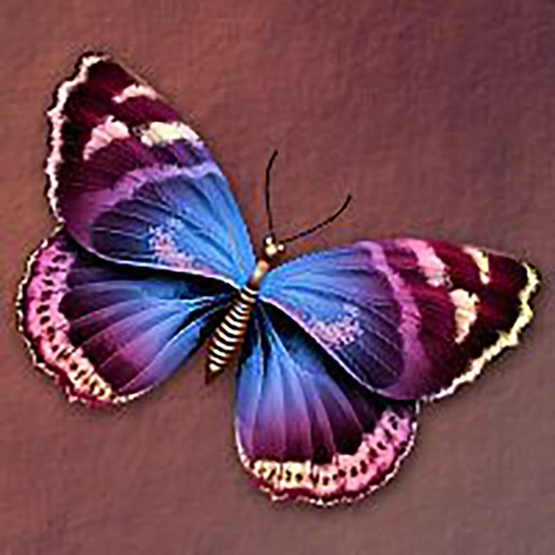 DIY motyl 5D diamentowe malowanie w pełni z okrągłych wierteł kwiat diamentowy haft Cross Stitch mozaika do wystroju pokoju Wall Art prezent