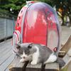 Pet Carrier Backpack Bubble Cats Puppies Pet Cat Dog Carrying Bag Backpack Large Space for Travel Hiking Outdoor Pet Transport