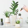 2/4Pcs 500ml Automatic Plant Watering Bulbs Drip Irrigation Stakes Insert Flowers Self Watering Globes Style Indoor Flower