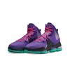 Nike LeBron 19 EP Purple Teal DC9340-500