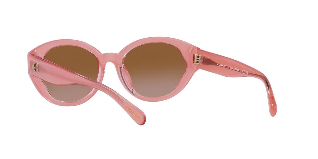 Coach Sunglasses HC8364U CH569 Milky Pink Gradient Lens 55 Pink/Transparent Frame/Brown