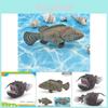Realistic Plastic Anglerfish Model Toy Vibrant Colorful Deep Sea Animal Dcor
