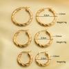 Classic Trendy Twisted Round Hoop Earrings For Women Stainless Steel 3mm Thick Ear Buckle Earrings Vintage Jewelry Accessories