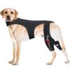 Dog Knee Brace Back Leg Joint Protectors Elastic Neoprene Leg Sleeve With Adjustable Belt For Elderly Dog Health Joint