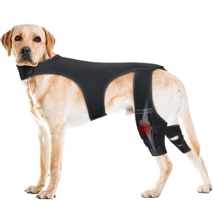 Dog Knee Brace Back Leg Joint Protectors Elastic Neoprene Leg Sleeve With Adjustable Belt For Elderly Dog Health Joint