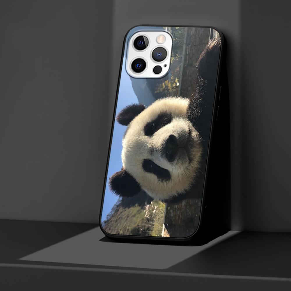 Chinesische Bär Panda Hülle für Apple iPhone 14 11 13 12 Pro Max XR 7 8 + SE 2020 XS 6 6s Plus 5 5s Schwarz Silikon Handyhülle Coque