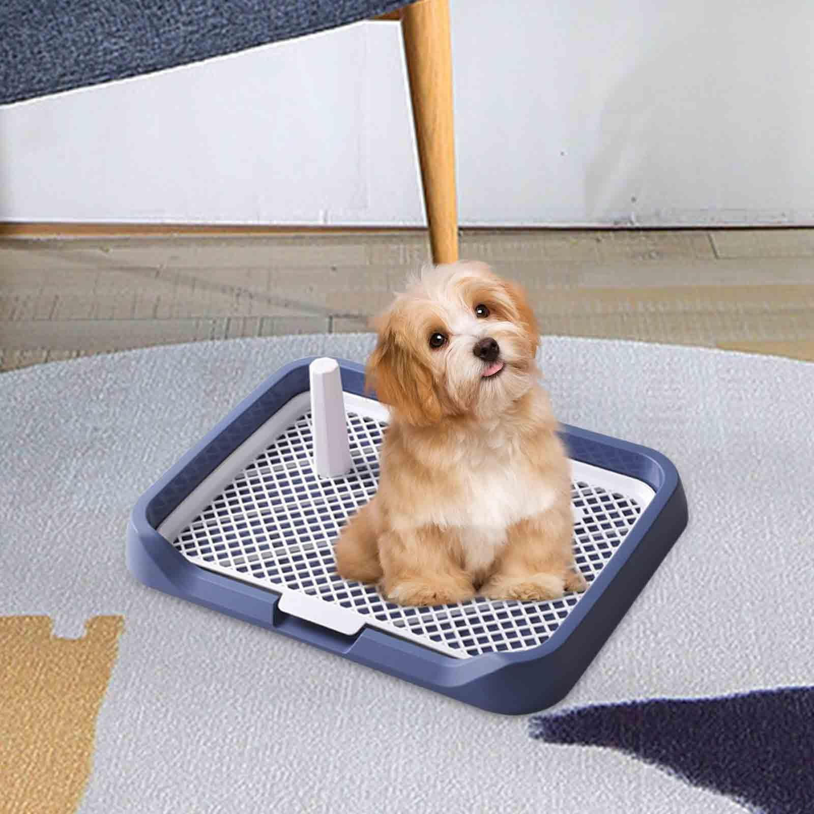 

Туалетный лоток для туалета для собак, съемный 18,11x13,78x1,97 дюйма, тренажер для туалета для домашних животных в помещении синий