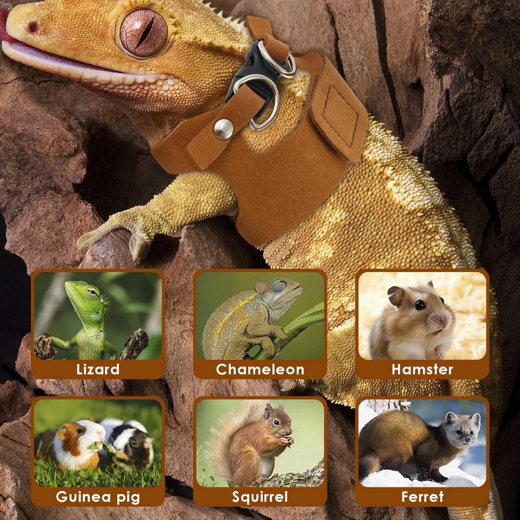 3Pcs Lizard Leash Harness Soft Adjustable Reptile Bearded Dragon Traction Rope Chameleon Amphibians Pet Harness Supplies