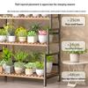 Shixun Iron Art Ladder Plant Stand