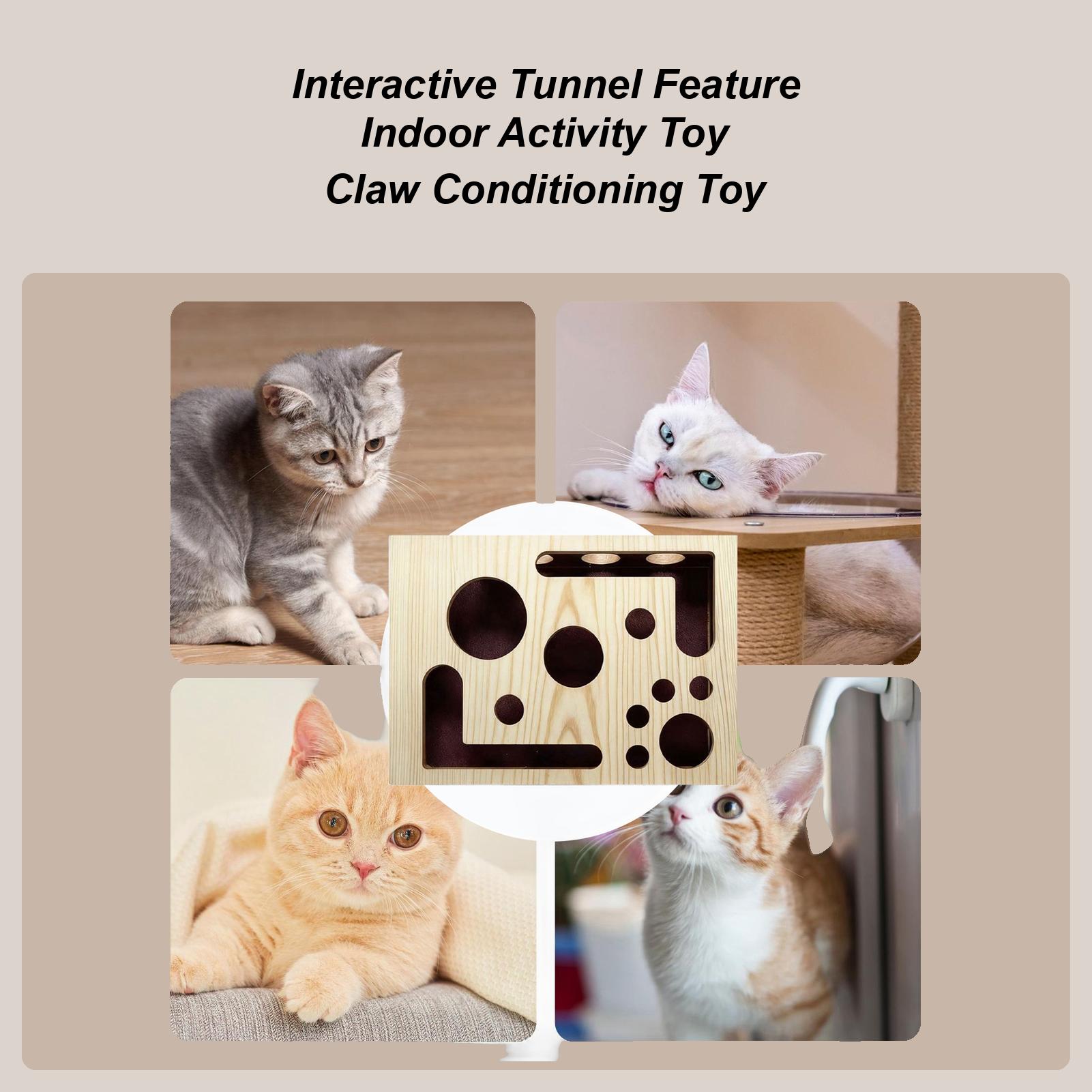

Cat Nail Scratch Maze Interactive Wood Puzzle Scratcher Cat Nail Scratch Enrichment Box for Pet Exercise Training Boredom China Mainland