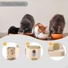 2 In 1 Automatic Cat Feeder and Water Dispenser, Feeding Food Bowl Pet Waterer, for