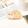 1pc Cute and Sweet Cartoon Orange Cat Puppet Kitten Hair Clip High Grade Acrylic Hair Claw Back of Head Coiled Hair Shark Clip