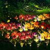 Garden Summer Decor LED Lawn Lamp Artificial Orchid Solar Landscape Ground Lights for Home Camping Wedding Party Decoration