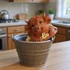 Highland Cow Figurines Home Decor Highland Cow Resin Model For Tabletop Desktop Ornament Decorative Animal Sculpture For Living