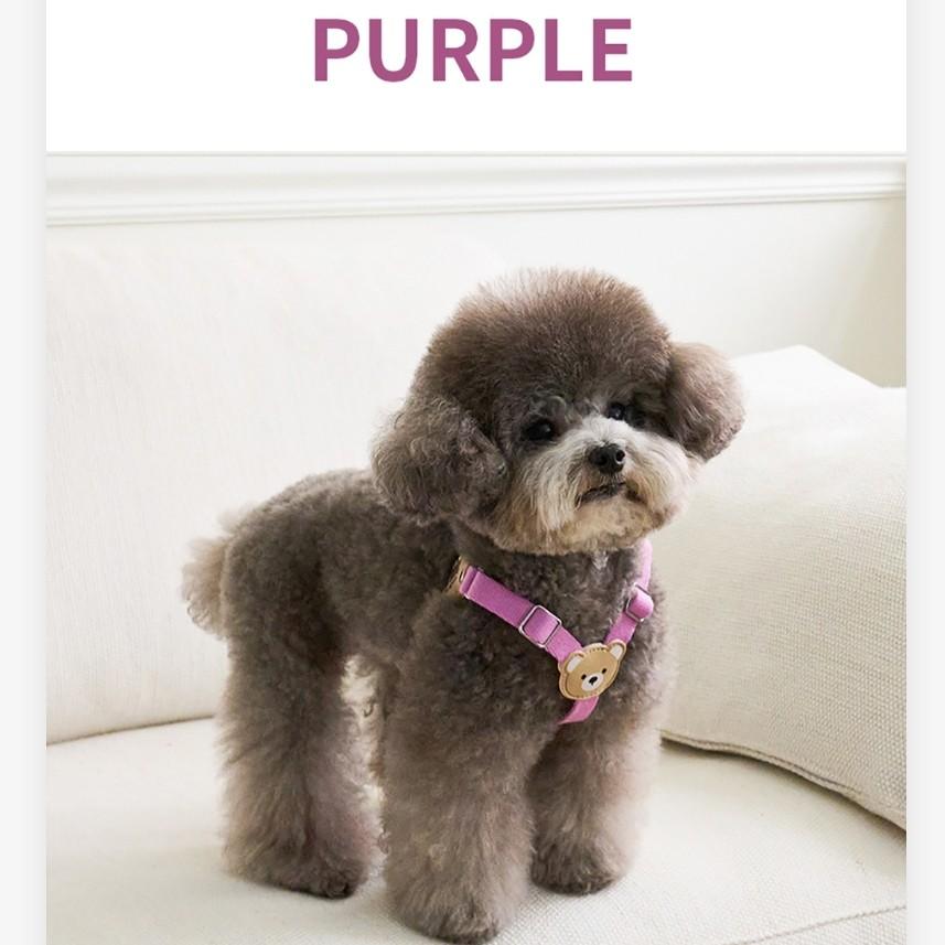 [Baibong] Puppy light bear harness 6 Colors