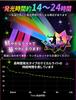 APALUX Chemical Light Pen Light Set 30 Multicolor Glow Time 14-24 Hours Event Festival Wedding Fireworks