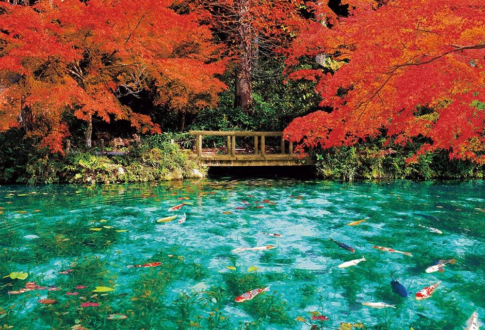 

[Made in Japan] Beverly 1000-Piece Jigsaw Puzzle: Monet s Pond in Autumn Colors (49 x 72 cm) 51-300