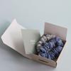 ALLGRAY Oui Scrunchie Set of 2