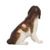 Something Different Springer Spaniel-Ornament aus Kunstharz