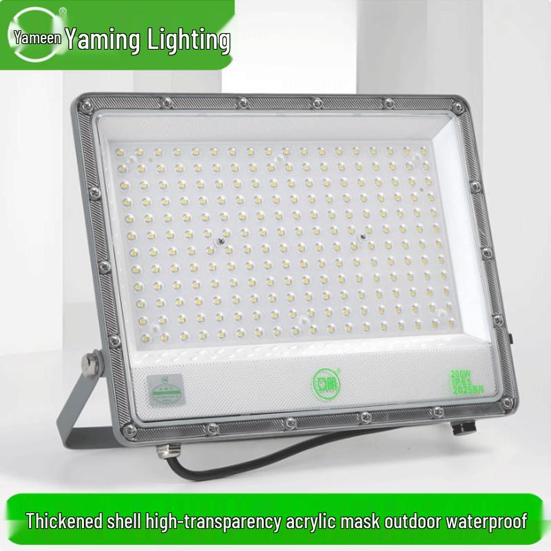 Dingdan Yaming 100W LED Outdoor Waterproof Floodlight