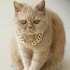 Shimmering Gold Chain Pet Collar Fashion Jewelry Accessory For Puppies Kittens Pet Photography Theme Event Dressingup