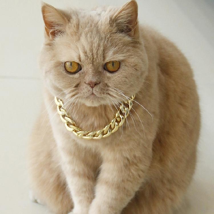 Shimmering Gold Chain Pet Collar Fashion Jewelry Accessory For Puppies Kittens Pet Photography Theme Event Dressingup
