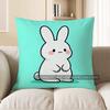2D Cute White Bunny On Turquoise Pillow Cover Pattern Cushion Cover Suitable For Sofa Bedroom Car Pillow Cover