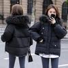 Women's Winter Solid Color Hooded Warm Bread Clothing Slim Thickened Short Jacket