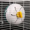 Hamster Running Toy Jogging Wheel Indoor Sport Toy Plastic Small Pet Exercise Running Wheels Pet Supplies