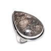 Natural Turritella Fossil Gemstone 925 Sterling Silver Jewelry Ring Size 8 n3L90