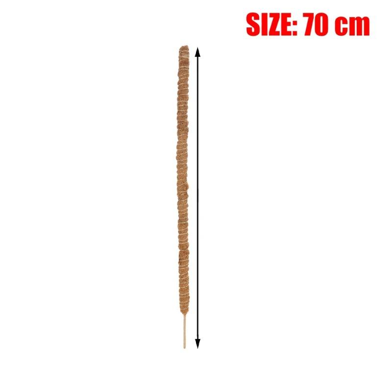 Großhandel Biegsamer Kokosfaser-Moosstab Pflanzenkäfig Kletterstab Pflanzenstütze Verlängerung für Monstera-Pflanze zum Aufwärtswachsen Garten