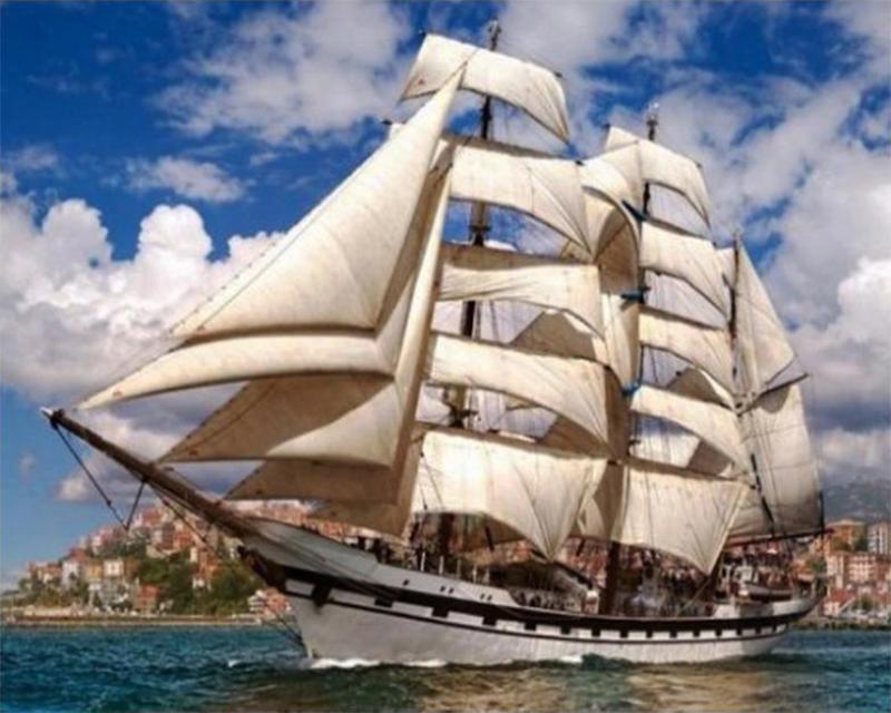 5D-Diamantstickerei zum Selbermachen, Rotkrönungskraniche, Rose, komplett quadratisch, rund, Kreuzstichset, Diamantmalerei, Blumentierkunst, Strass, handgemachtes Geschenk