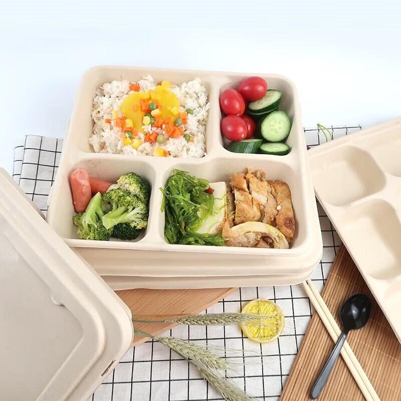 Degradable Sugarcane Pulp 4-Compartment Takeaway Meal Box with Lid