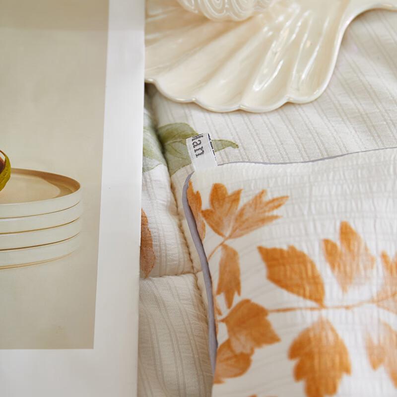 Bijiaman BGM-BX243 Jacquard Blended Winter Quilt