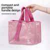 Solid Color Insulated Lunch Bag Large Capacity Thermal Picnic Bag Lunch Handbag  Picnic