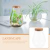 Micro Landscape Ecological Bottle Water Waterbottle Bryophyte Container Outdoor Terrarium Glass Hydroponic Plant Landscaping