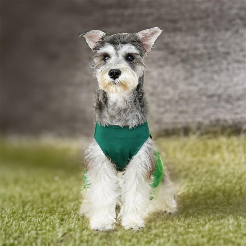 Pet dog clothes dog cat Irish skirt trefoil mesh explosion