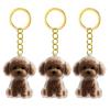 2/3/4/5/10 Pezzi Portachiavi Memoriale per Animali Domestici Con Raccoglitore Peli Trasparente Regalo Perfetto Per Proprietari di Gatti e Cani in Lutto Portachiavi Ricordo
