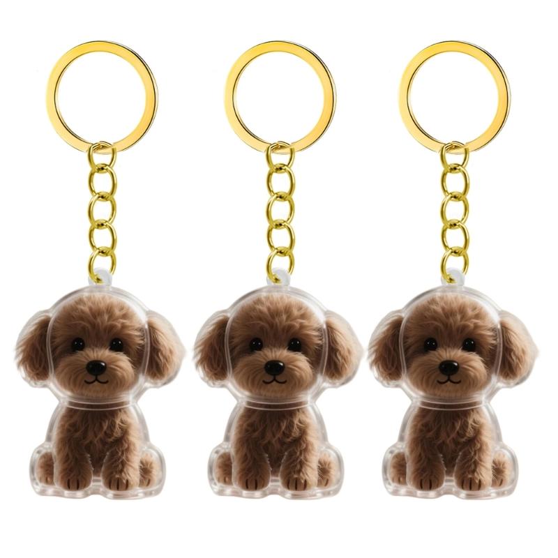2/3/4/5/10 Pezzi Portachiavi Memoriale per Animali Domestici Con Raccoglitore Peli Trasparente Regalo Perfetto Per Proprietari di Gatti e Cani in Lutto Portachiavi Ricordo