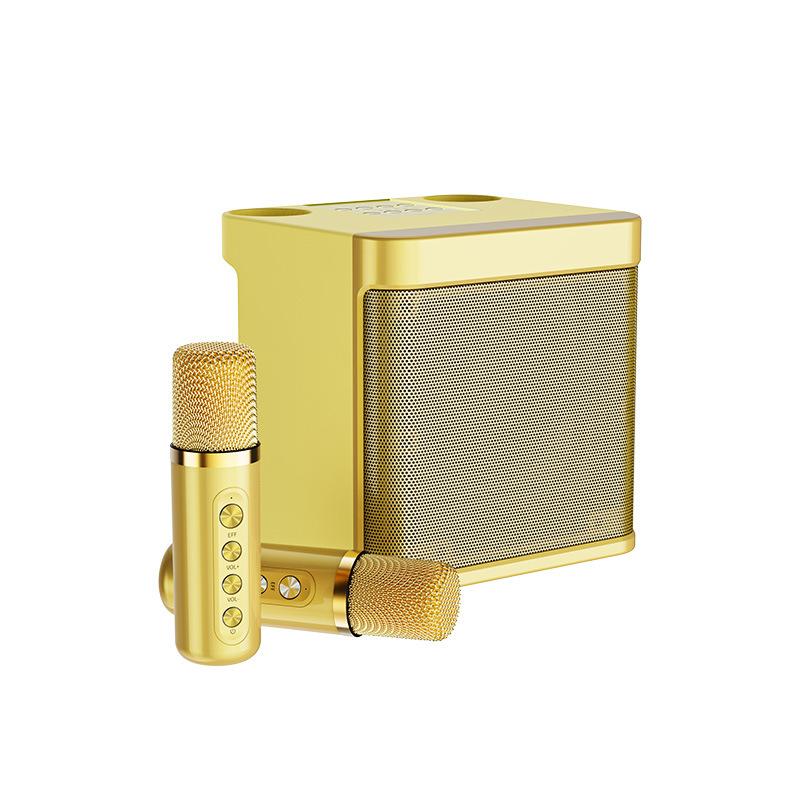 Portable Karaoke Machine Professional Dual Wireless Microphone Integrated Singing Machine Family KTV Audio Set for Adult and Kid