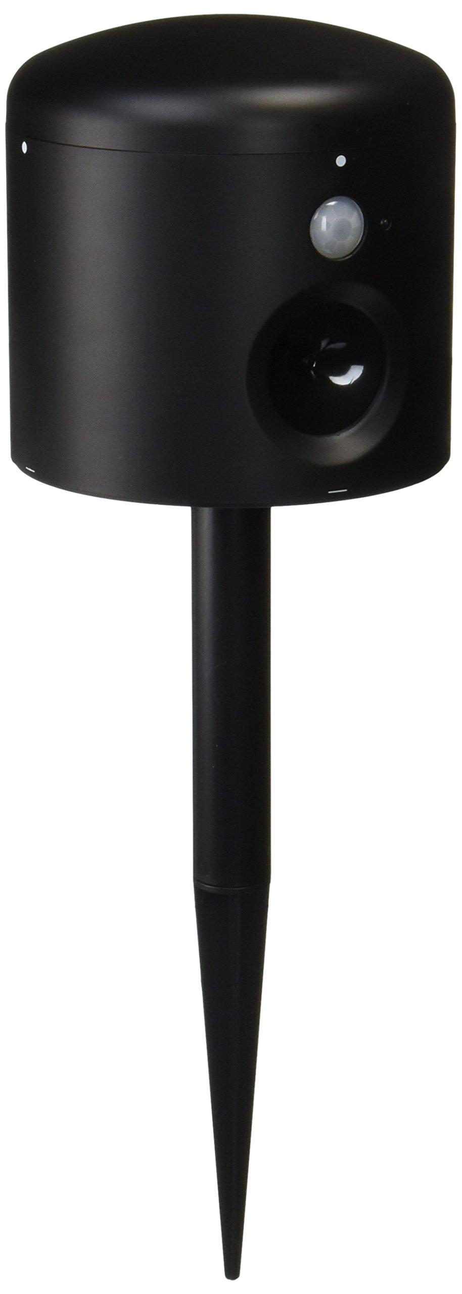 

intellim Япония Защита от животных Черный Мини чёрный