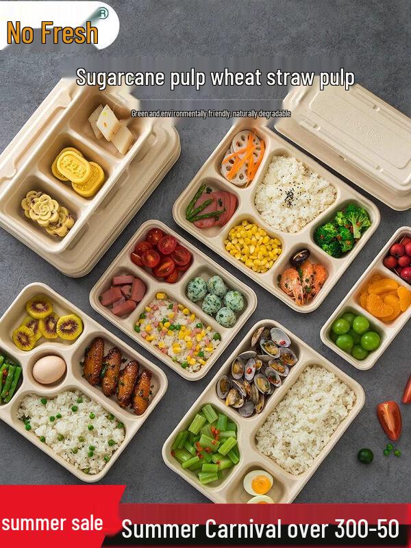 ZISIZ Disposable Multi-Compartment Paper Lunch Box