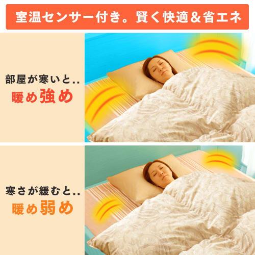 IRIS OHYAMA Electric Blanket, Can Be Used As a Blanket, Washable, 190 X 130cm, Dust Mite Killer, Double, Semi-double, Camping, Energy Saving, Slide Te