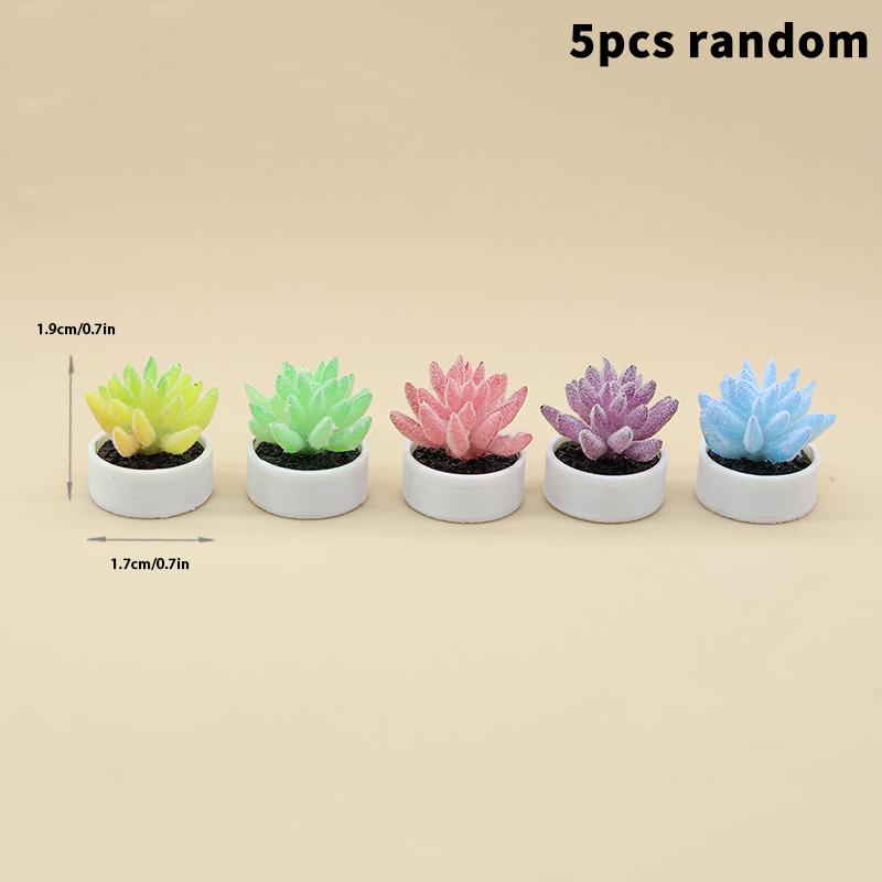 5 Stück Simulation Mini-Sukkulenten Topfpflanzen Modell Puppenhaus Bonsai Dekoration Puppenhaus Mikro-Landschaft Garten Schreibtisch-Schmuck
