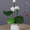 Ceramic Lotus Water Lily Ornament for TV Cabinet or Bar Counter Decor
