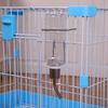 Hanging Rabbit Water Feeder For Small Animals Durable Cage Mounted Drinker Bottle With Easy Installation