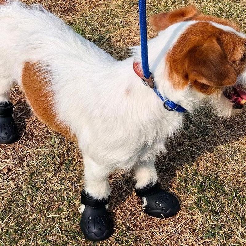 4 Stück Wasserdichte Hundeschuhe Sommer Hundesandalen Rutschfest Leichtgewicht Haustier Hundestiefel Outdoor Strapazierfähig Hundesandalen Haustierbedarf