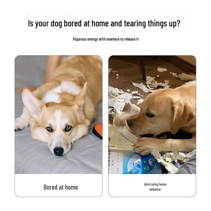 Cross-Border Bite-Resistant Dog Toy: Sound, Molar, & Self-Amusement Reliever.