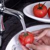 Kohoutek Aerator Mosaz Nerezová ocel Kohoutek Bubbler Vyměnitelná závitová smíšená tryska Ant stříkající koupelnový doplněk