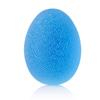 50LBS Blue Egg